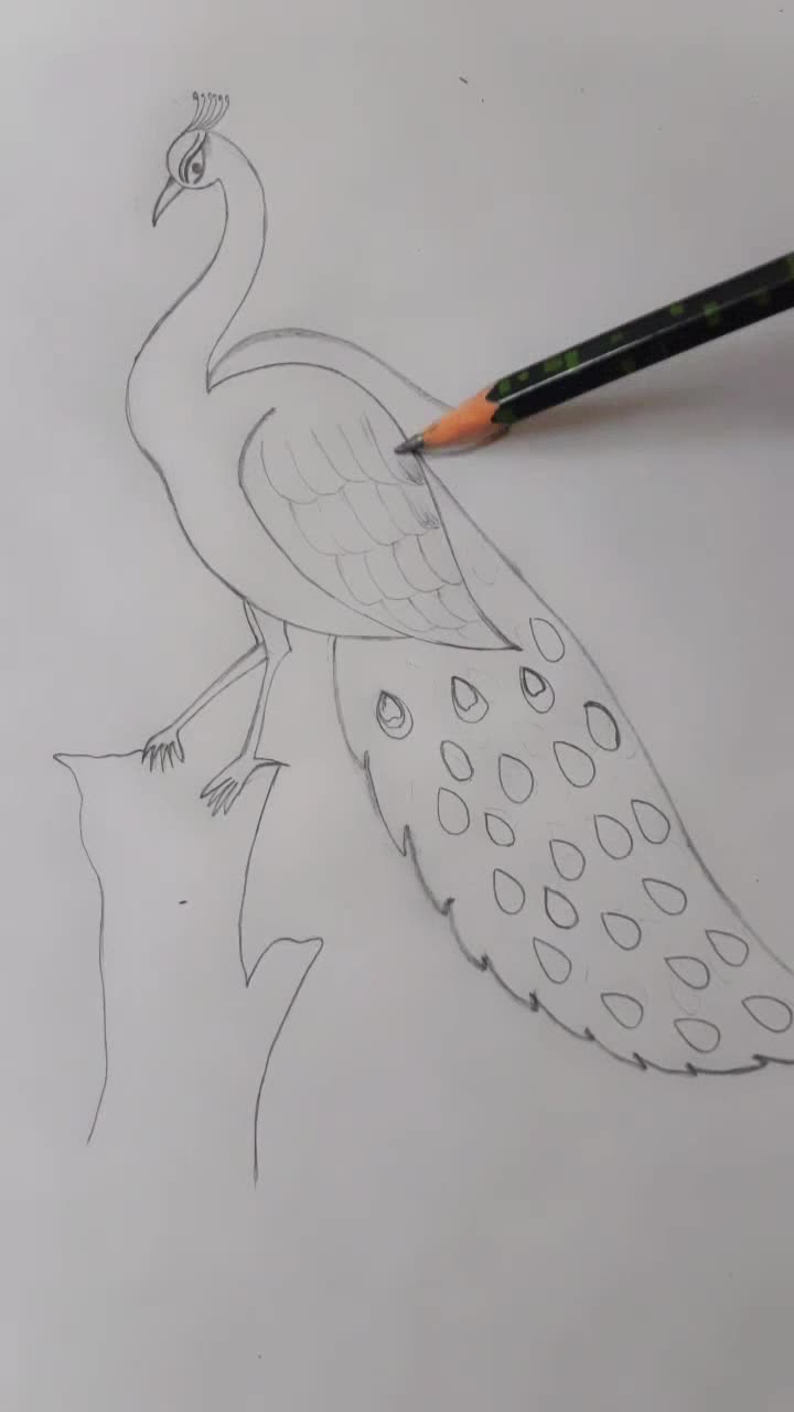 Da Vinci Pencil Sketch of a Peacock · Creative Fabrica-saigonsouth.com.vn